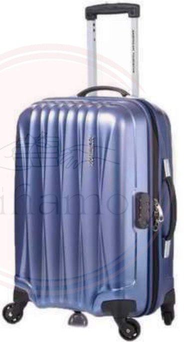 Luggage Trolley Bag